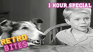 Lassie  1 Hour Special  Full Episodes [upl. by Aliahkim]