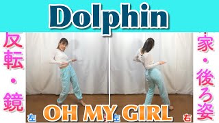 【反転・スロー】OH MY GIRL  Dolphin quottutorialquot [upl. by Onahpets44]