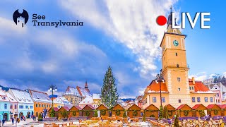 Town Square  Piata Sfatului Brasov🔴 Pizza Roma Live Webcam [upl. by Yerag234]