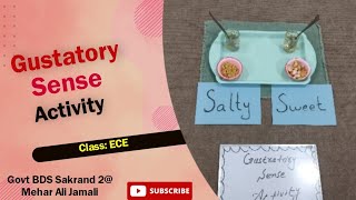 Gustatory Sense Activity ECE [upl. by Sedrul72]