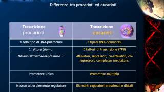 Lezione 20  RNA polimerasi [upl. by Aramad]