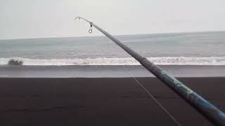 MANCING LAUT HARI PERTAMA DAN KEDUA IKANNYA SAMA SAJADrovikifishing mancing [upl. by Winne]