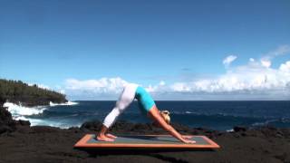 Vinyasa Flow Yoga Class for Beginners [upl. by Elag]