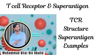 TCell Receptor  Superantigen immunology biology microbiology medical [upl. by Sivla]