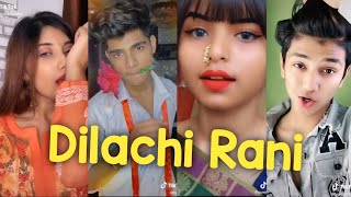 Dilachi Rani Tu Surmai Vani  Love Fever Tik Tok Song  Zala Mala Tuza Love Fever  Love Fever Song [upl. by Nevad413]