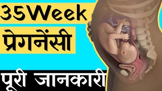 35 Week Pregnancy in Hindi  35 weeks Pregnant baby  35 हफ्ते की प्रेगनेंसी की जानकारी [upl. by Derril]