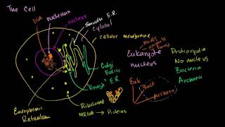 Parts of a cell [upl. by Esinereb993]