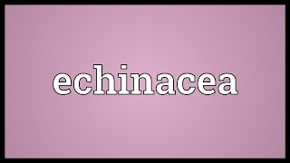 Echinacea Meaning [upl. by Fish]