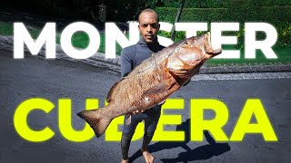 I FINALLY Shot my FIRST Cubera Snapper A Fish of a Lifetime [upl. by Cinemod]