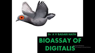 Bioassay of Digitalis [upl. by Kimmy113]