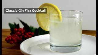 How to Make a Classic Gin Fizz Cocktail  Amy Learns to Cook [upl. by Adalai305]