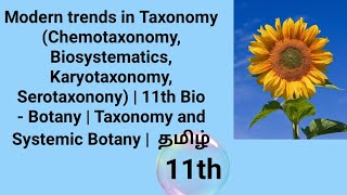 Modern trends in Taxonomy  11th Bio  Botany  Taxonomy and Systemic Botany  தமிழ் [upl. by Enomis]