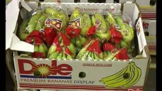 Dole  How do bananas come to you [upl. by Artsa]