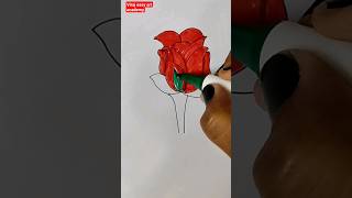 draw a rose rose roseday shorts viral tranding valentinesday shortsfeed easy viralvideo [upl. by Shellans264]