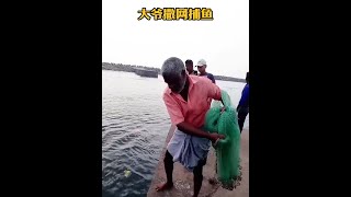 戶外捕魚：大爺用腳將螃蟹踩碎丟進河中，然後再撒網捕魚！ 捕魚 撒網 [upl. by Nylakcaj912]