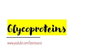 Glycoproteins  Introduction to Glycoproteins amp their Functions and Examples  Short Notes [upl. by Inuat]