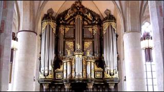 Bach  Organ Concerto BWV 594  Ton Koopman [upl. by Aihtibat]