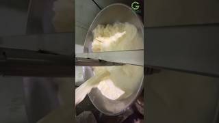 Milk Boiler machine curdmaking cowmilk agribusiness dairy villagemilk curd machine viral [upl. by Aninep]