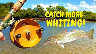 CATCH MORE WHITING with these tips and tricks [upl. by Bud953]