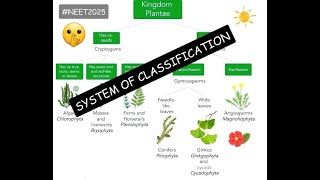 System of Classification  Plant Kingdom  Ncert at your fingertips  All PYQs covered neet2024 [upl. by Ennybor]