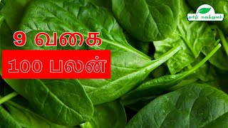 List of Green Leafy Vegetables with Pictures  List of Green Leafy Vegetables and their Benefits [upl. by Ludie]