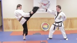 What Is Taekwondo  Hapkido amp Taekwondo Techniques [upl. by Gilus39]