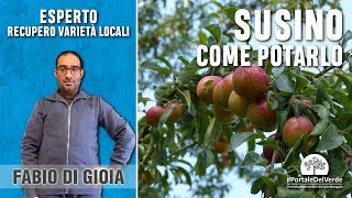 Come e quando si pota il susino [upl. by Cyndia]