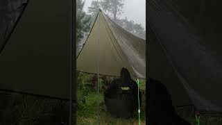 Solo Camping Real Heavy Rain 🌧🌩  Relaxing Camping Heavy Rain  Rain ASMR shorts [upl. by Phio]