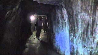 gold bug mine placerville california [upl. by Hodess]