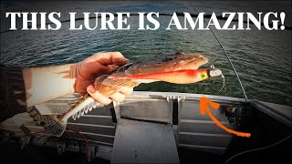 Fishing an old lure for the first time  Greenwell Point  Shoalhaven [upl. by Graaf724]