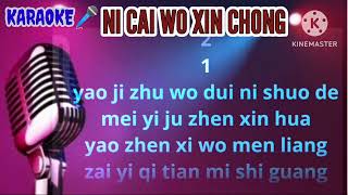 Ni Cai Wo Xin Chong singer Deng Li Jun teresa Teng karaoke mandarin no vocal [upl. by Vadim]