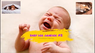 Baby Der Græder 2  Hundelyde Træning [upl. by Alrahc546]