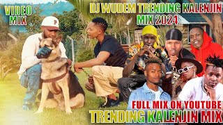 TRENDING KALENJIN MIX 2024 DJWUDEM FAITH THERUI WEDDING SAMKISTAR SWEETSTAR BRILLIAN SMARTLADY KILEL [upl. by Allekim]