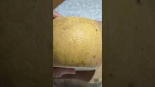 asmrsounds PEELING OPENING AMAZING POMELO FRUIT satisfying seedless pomelo fruit viralvideo [upl. by Ewart]