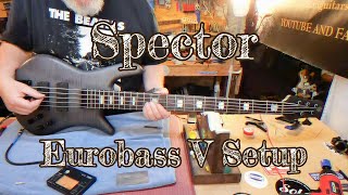 Spector Eurobass Setup EP430 [upl. by Suoinuj]