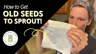 Germinate Old Seeds with This Simple Trick [upl. by Sum]