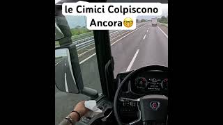 autostrada camion [upl. by Isiahi]