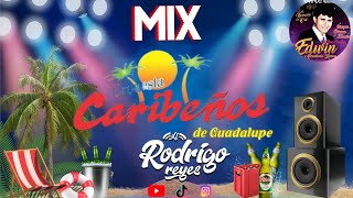 MIX CARIBEÑOS DE GUADALUPE 🍺  Vivo Por Tu Amor La Farsa Mentiras DJ RODRIGO REYES [upl. by Hufnagel792]