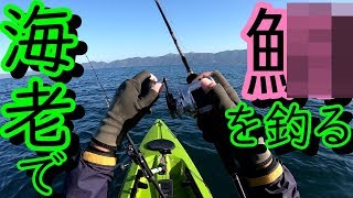 冬でも釣れる釣れる エサ釣りカヤックフィッシング【釣行11】 [upl. by Emor]