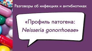 Профиль патогена Neisseria gonorrhoeae [upl. by Htebirol]