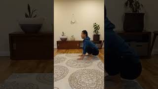 10 Day Hip Mobility Challenge Day 10  Feldenkrais Style [upl. by Einnil]