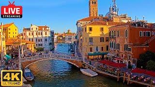 🔴 4K Live Cam of Ponte delle Guglie Venice  View from Hotel Leone Venezia  Live stream ライブカメラ [upl. by Erminia]