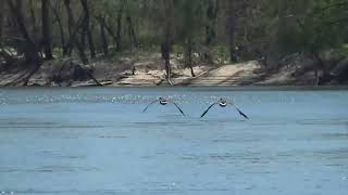 Boating on the Gasconade River [upl. by Israeli306]