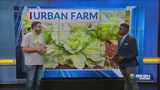 New urban farm being installed in downtown Wichita [upl. by Toomay752]