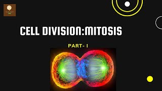 AMITOSIS CELL DIVISION [upl. by Carola212]