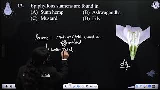 Epiphyllous stamens are found in [upl. by Symons]