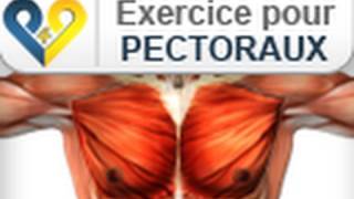 Musculation pectoraux Pompes [upl. by Abeh]