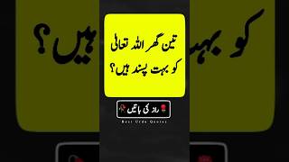 Golden words in Urdu  Urdu basic words  beautiful Islamic quotes  Quotes about life shorts [upl. by Aynosal]