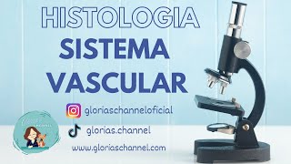 Histología para Medicina arterias venas capilares [upl. by Azyl]