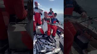 He didnt actually run out of bait sitka fishingvideo fishalaska outdoors salmonfishing hali [upl. by Zorah955]